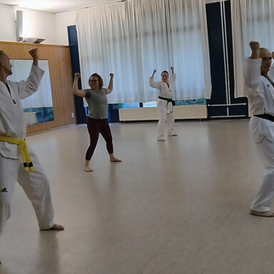 Gruppe im Dojo zeigt synchron erhobene Fäuste, Doboks mit bunten Gürteln, Spiegelwand.