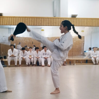 Mädchen zeigt hohen Kick gegen Pratze, Gruppe schaut im Dojang zu.