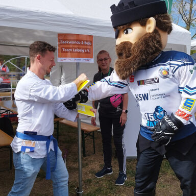 Taekwondo-Aktion: Taekondo-Sportler lässt Eishockey-Maskottchen ein Brett zerschlagen.
